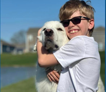 captura de pantalla 2025 12 15 235051